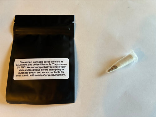 Chemdog x OG Kush Feminized